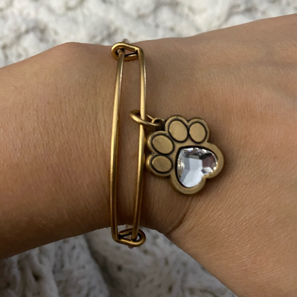 Alex and Ani paw bangle